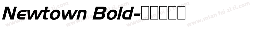 Newtown Bold字体转换